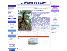 Tablet Screenshot of dialettocomasco.org